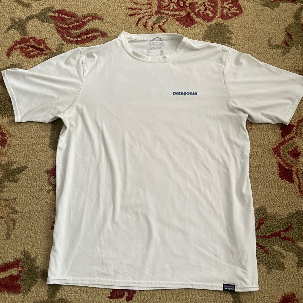 Patagonia Men's Classic White Tee